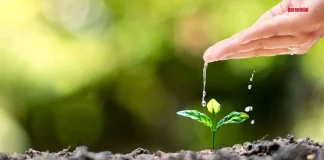 Efek Domino Kebiasaan Baik Anak: 5 Strategi Cerdas Bangun Karakter Positif Sejak Dini Efek Domino Kebiasaan Baik Anak Strategi Cerdas Bangun Karakter Positif Sejak Dini