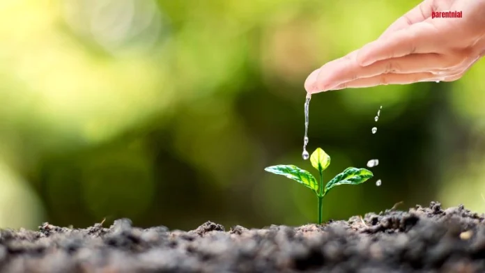 Efek Domino Kebiasaan Baik Anak Strategi Cerdas Bangun Karakter Positif Sejak Dini Efek Domino Kebiasaan Baik Anak Strategi Cerdas Bangun Karakter Positif Sejak Dini