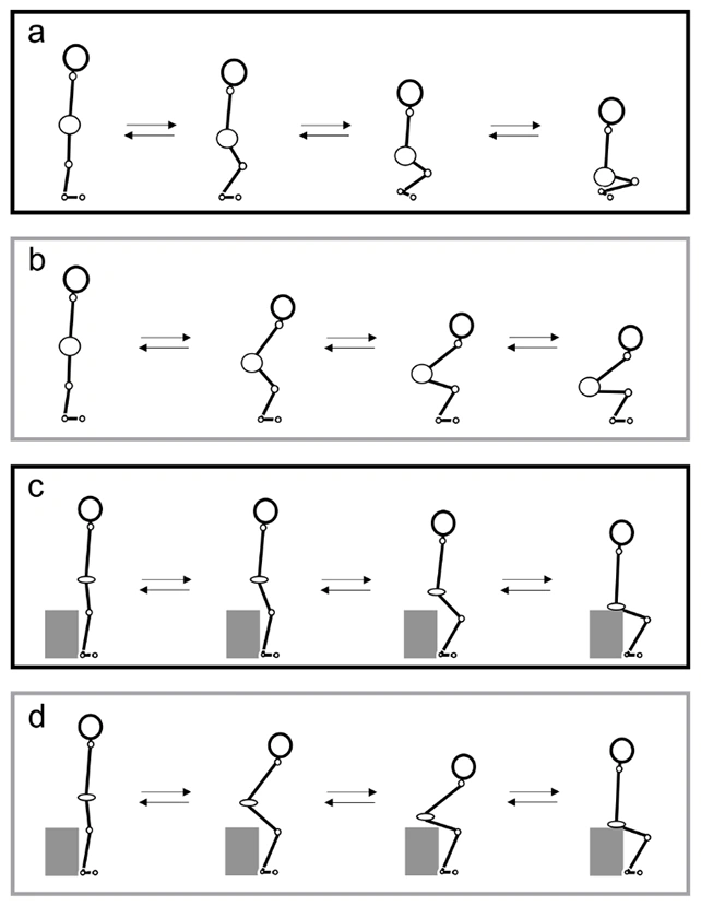 Rutinitas Samurai Jepang Kuno Bantu Kuatkan Lutut Lansia, Hanya 5 Menit Sehari